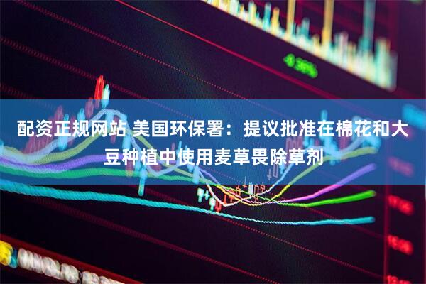 配资正规网站 美国环保署：提议批准在棉花和大豆种植中使用麦草畏除草剂